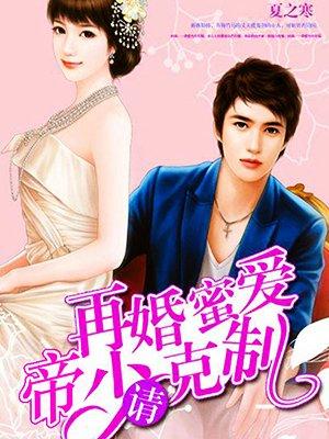 再婚盛宠