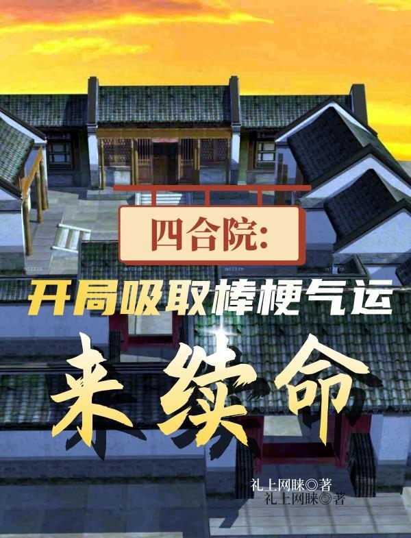 四合院调查报告