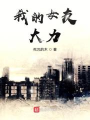 我的女友诸葛大力林峰