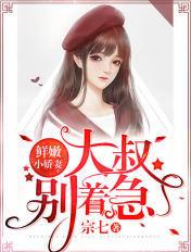 书名是鲜嫩小娇妻大叔别急