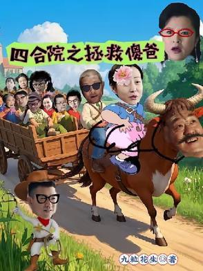 四合院之傻柱新生