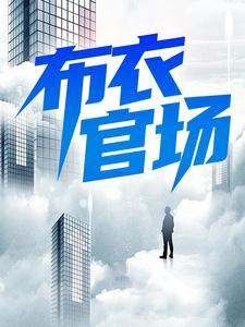 官场布衣写得怎么样