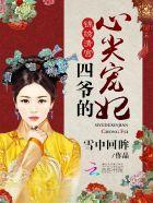 四爷的心尖宠妃简介