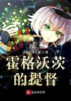 霍格沃茨的提督起点