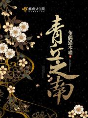 青丘之南 布偶猫本喵